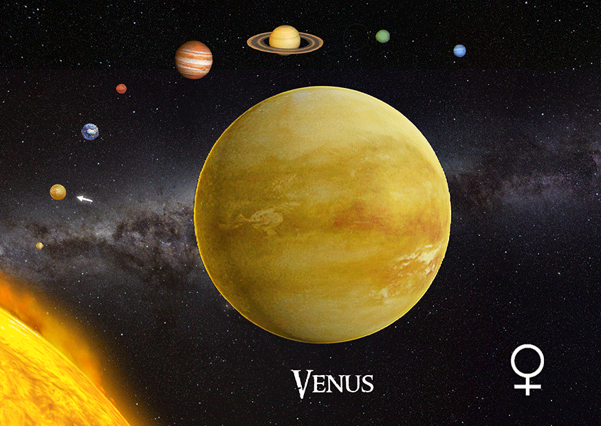 Venuše 3D